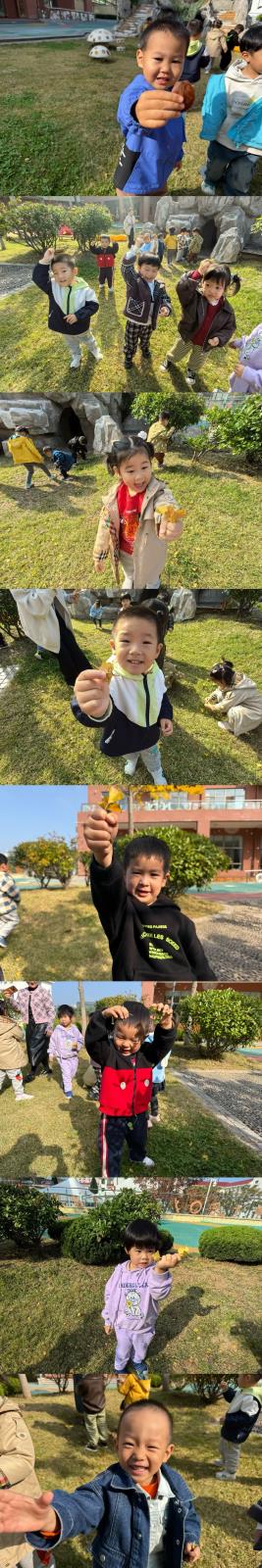 IMG_1432.HEIC.JPG