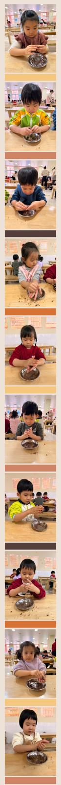 IMG_3172.HEIC.JPG