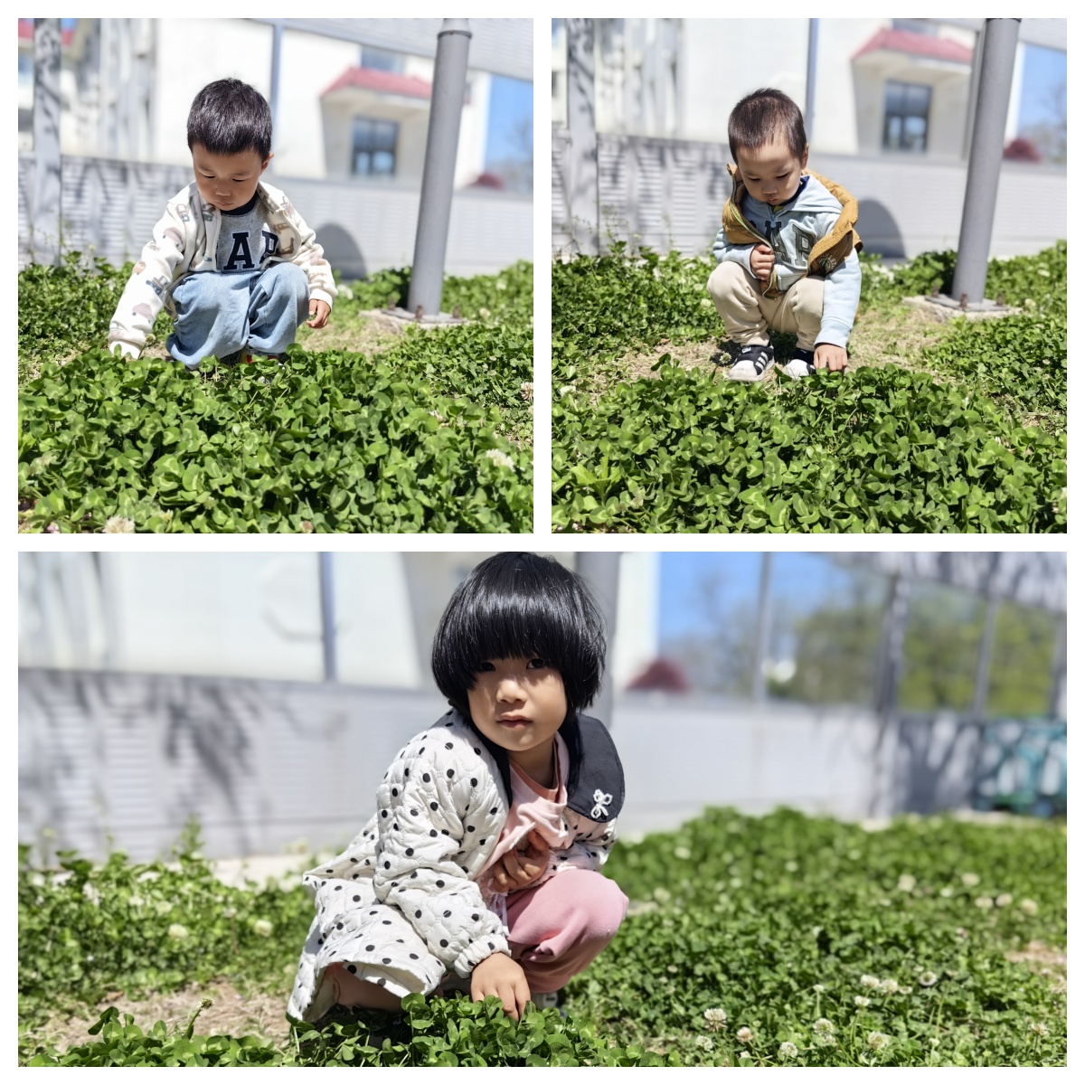 33.jpg