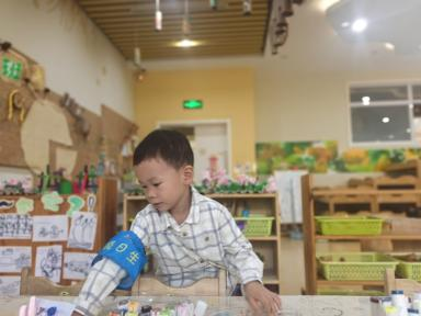 图片1.png 图片1.png